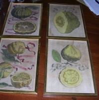 Catesby Four Fruit Prints