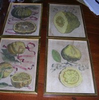 Fruit_Prints.DSCN0324