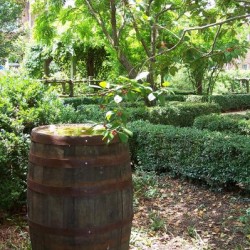 Exterior photo, rain barrel