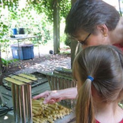 Exterior photo, candle making