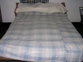Blue and White Checked Coverlet