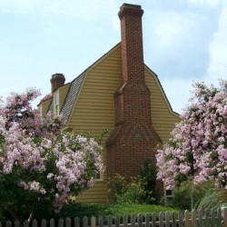 Exterior photo, crepe myrtles