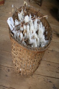 Cotton Basket