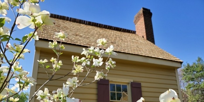 Spring Flowers by the Kitchen